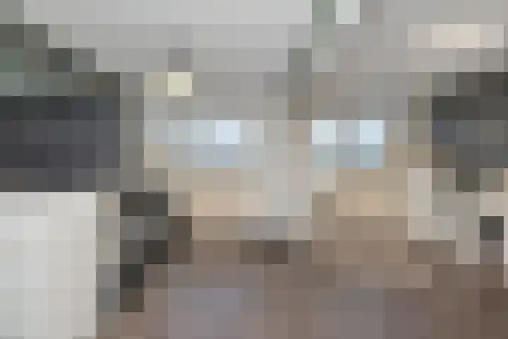 Karperveen 433 Spijkenisse thumbnail 32