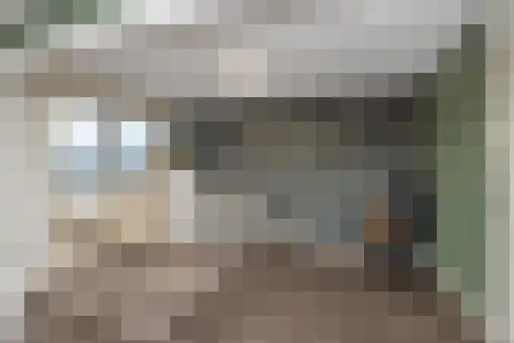 Karperveen 433 Spijkenisse thumbnail 33