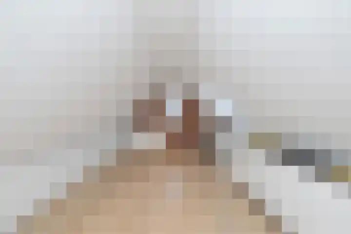 Karperveen 433 Spijkenisse thumbnail 38