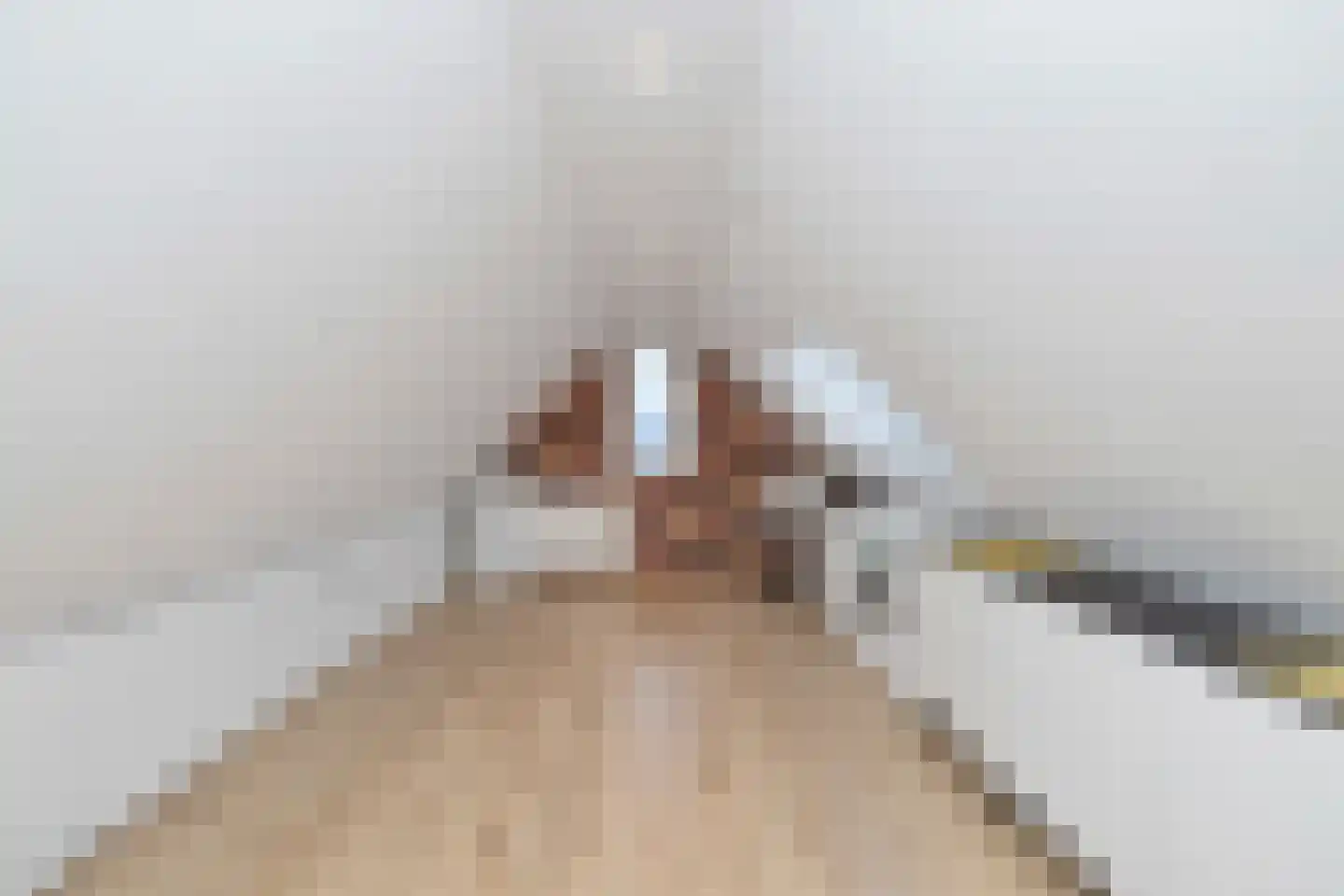 Karperveen 433 Spijkenisse thumbnail 38