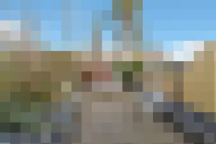 Karperveen 433 Spijkenisse thumbnail 46