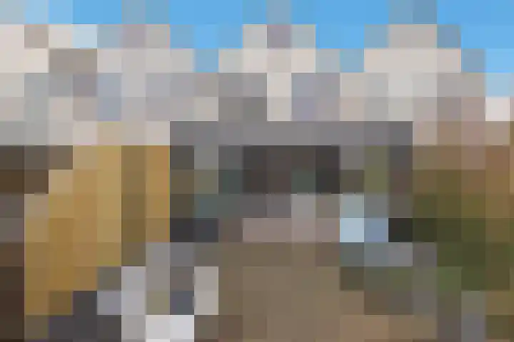 Karperveen 433 Spijkenisse thumbnail 48