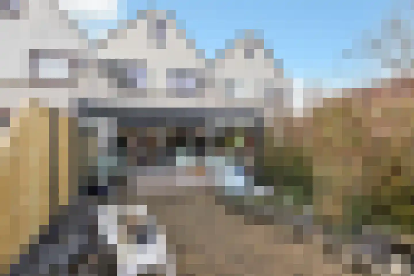 Karperveen 433 Spijkenisse thumbnail 49