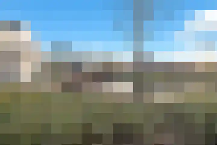 Karperveen 433 Spijkenisse thumbnail 7
