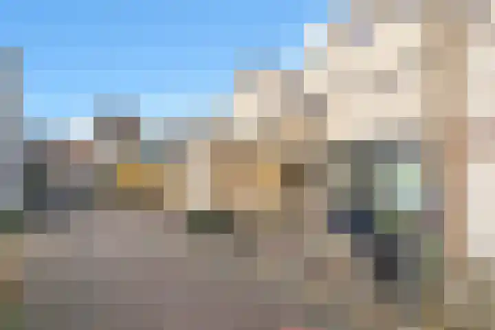 Karperveen 433 Spijkenisse thumbnail 8
