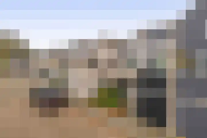 Karperveen 464 Spijkenisse thumbnail 10