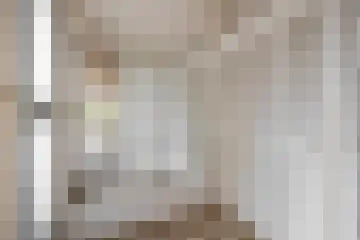Karperveen 464 Spijkenisse thumbnail 12