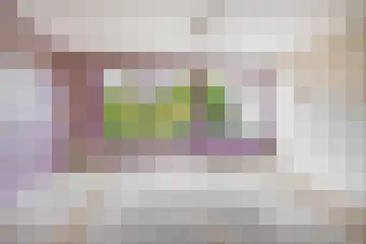 Karperveen 464 Spijkenisse thumbnail 14