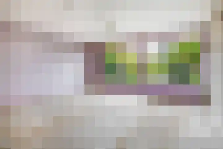 Karperveen 464 Spijkenisse thumbnail 15