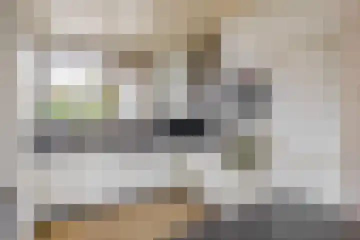Karperveen 464 Spijkenisse thumbnail 19