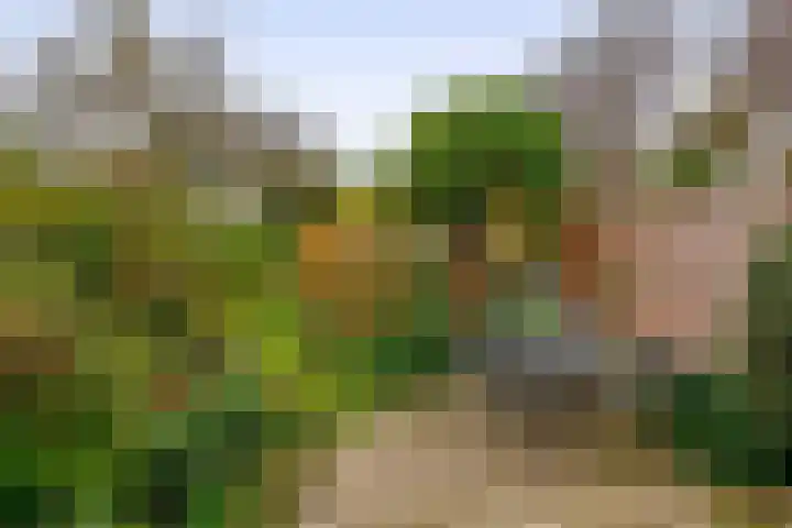 Karperveen 464 Spijkenisse thumbnail 21