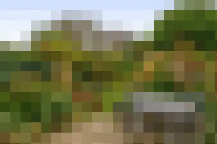 Karperveen 464 Spijkenisse thumbnail 22