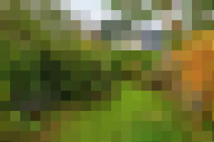 Karperveen 464 Spijkenisse thumbnail 23
