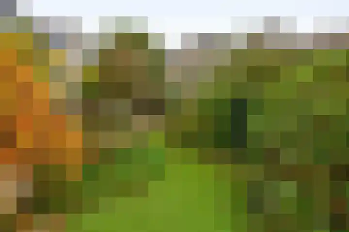 Karperveen 464 Spijkenisse thumbnail 24