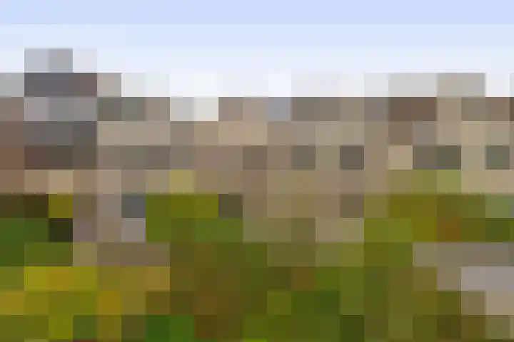 Karperveen 464 Spijkenisse thumbnail 25