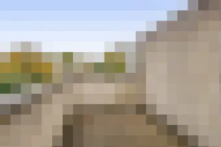Karperveen 464 Spijkenisse thumbnail 29
