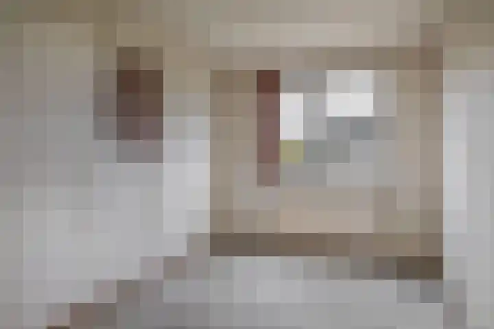 Karperveen 464 Spijkenisse thumbnail 35
