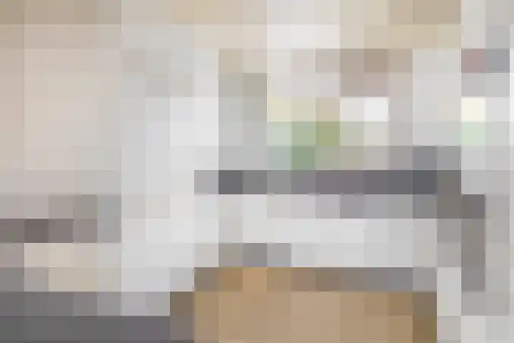 Karperveen 464 Spijkenisse thumbnail 4