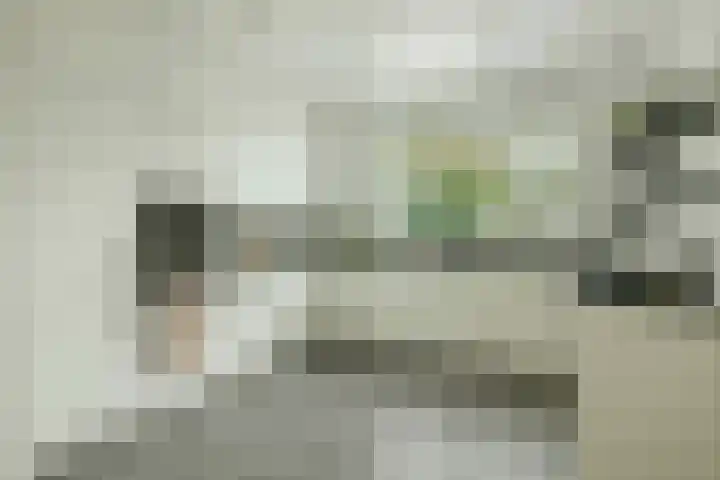 Karperveen 464 Spijkenisse thumbnail 5