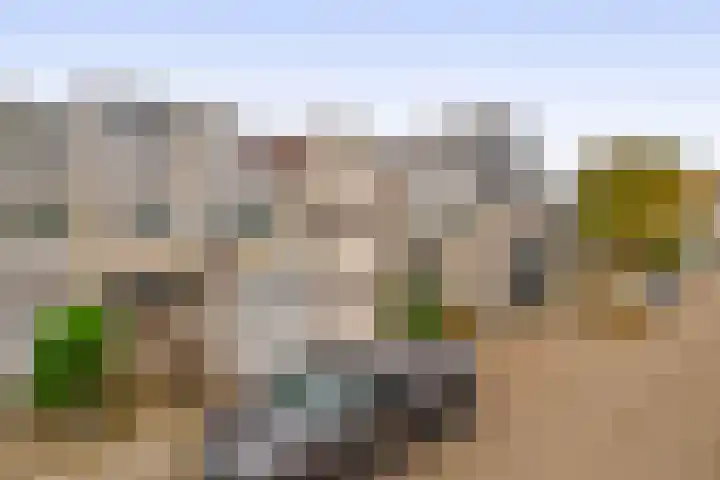 Karperveen 464 Spijkenisse thumbnail 8