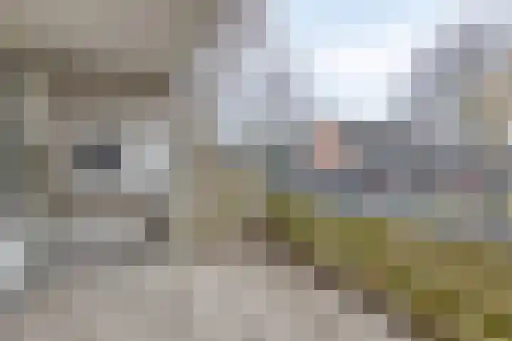Karperveen 467 Spijkenisse thumbnail 12