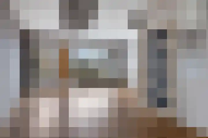 Karperveen 467 Spijkenisse thumbnail 14