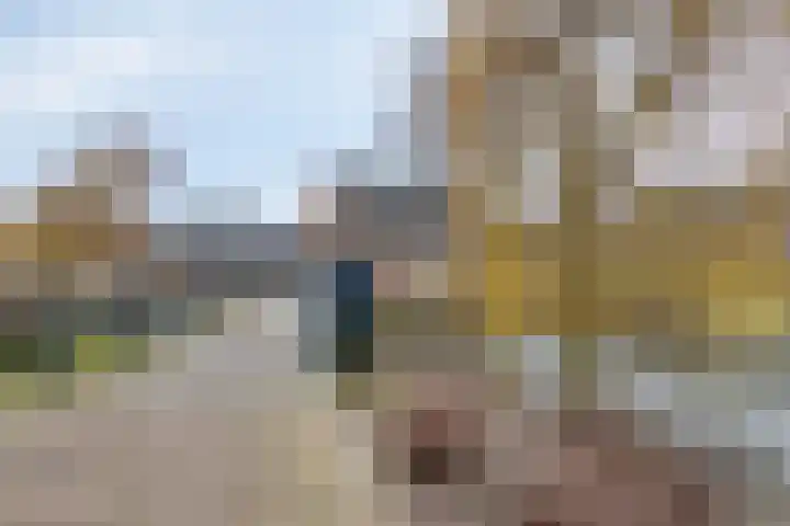 Karperveen 467 Spijkenisse thumbnail 29