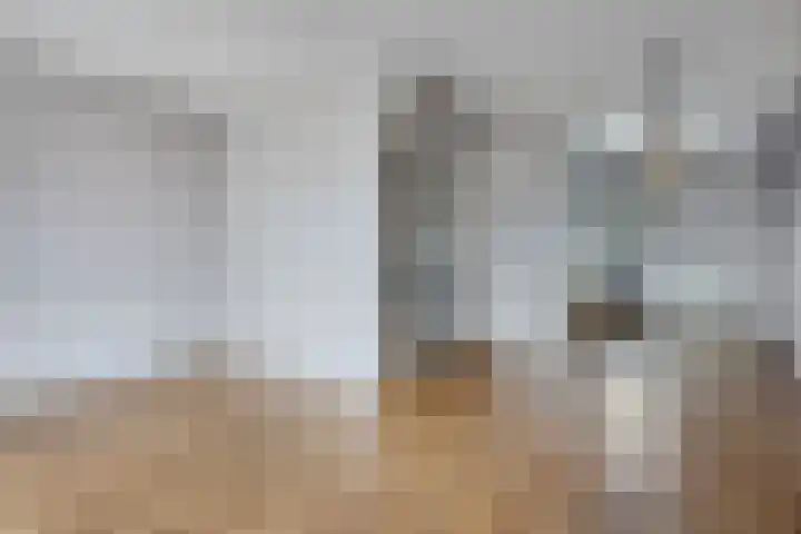 Karperveen 467 Spijkenisse thumbnail 8