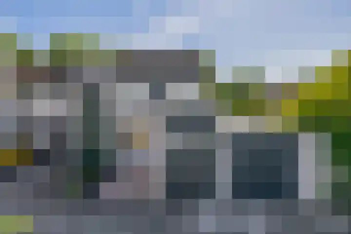 Karperveen 492 Spijkenisse thumbnail 10