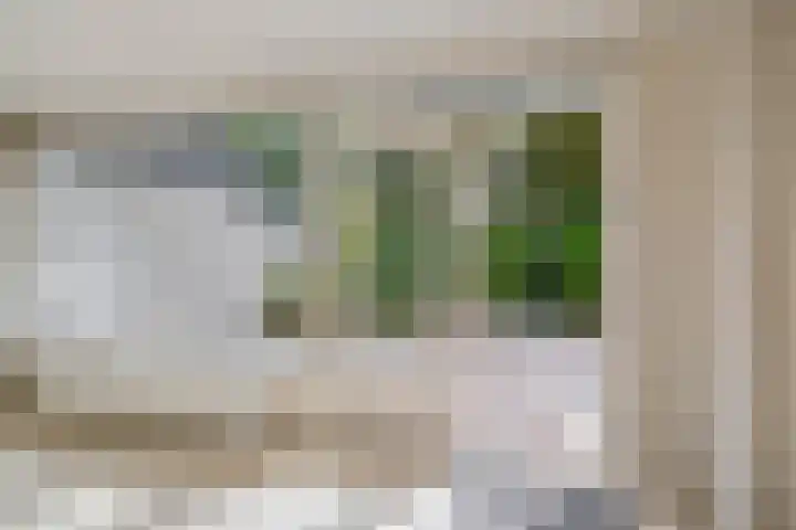 Karperveen 492 Spijkenisse thumbnail 19
