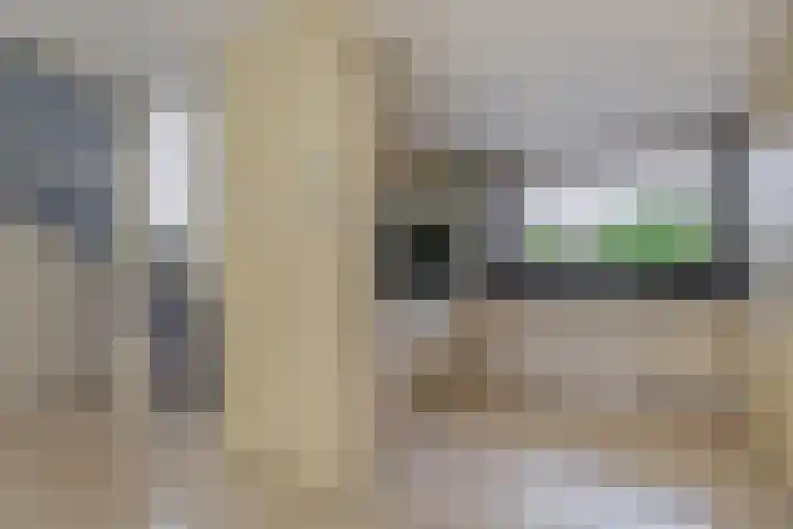 Karperveen 492 Spijkenisse thumbnail 20