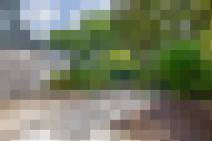 Karperveen 492 Spijkenisse thumbnail 31