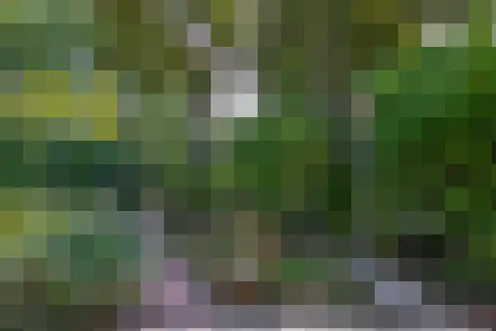 Karperveen 492 Spijkenisse thumbnail 32