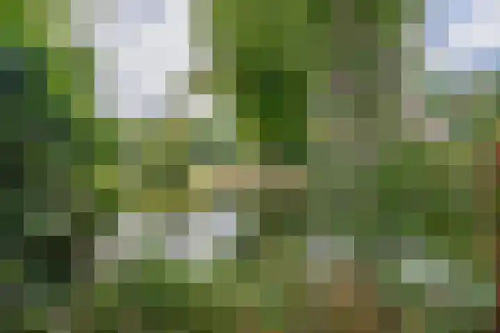 Karperveen 492 Spijkenisse thumbnail 36