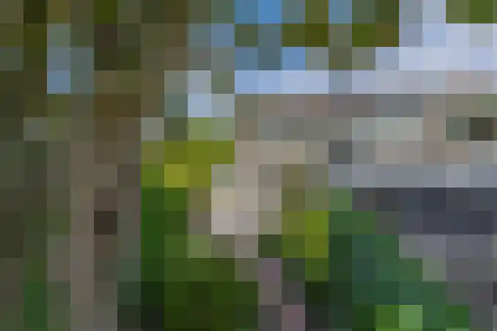 Karperveen 492 Spijkenisse thumbnail 37