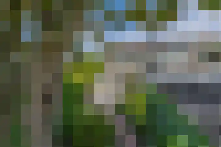 Karperveen 492 Spijkenisse thumbnail 4