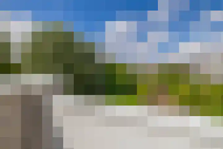 Karperveen 492 Spijkenisse thumbnail 48