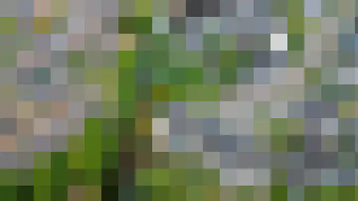 Karperveen 492 Spijkenisse thumbnail 5