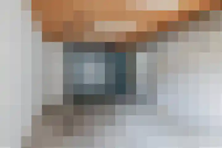 Karperveen 492 Spijkenisse thumbnail 64