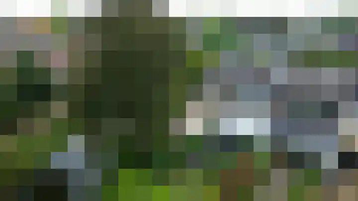 Karperveen 492 Spijkenisse thumbnail 67