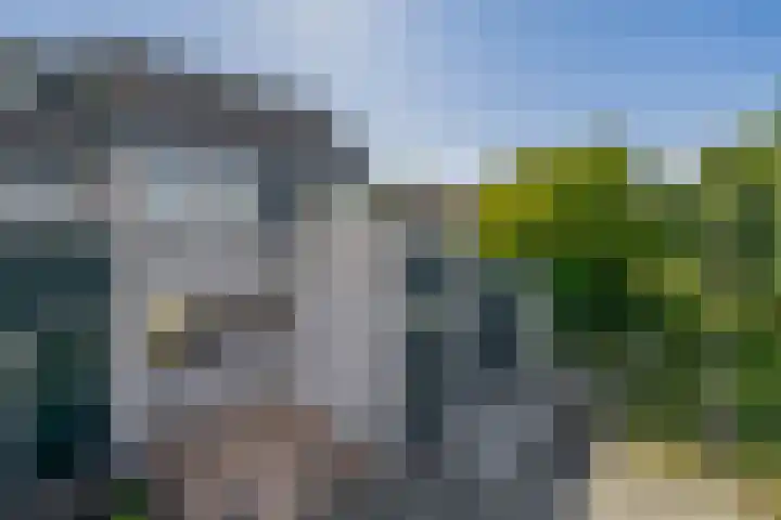 Karperveen 492 Spijkenisse thumbnail 7