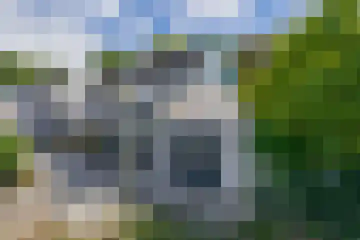 Karperveen 492 Spijkenisse thumbnail 8