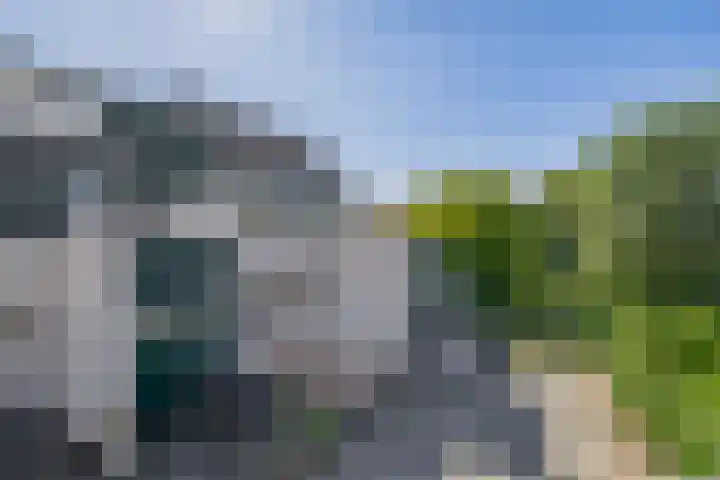 Karperveen 492 Spijkenisse thumbnail 9