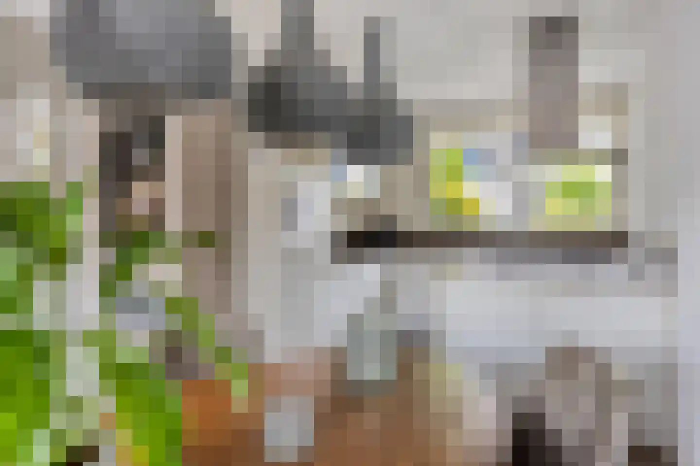 Karperveen 517 Spijkenisse thumbnail 10