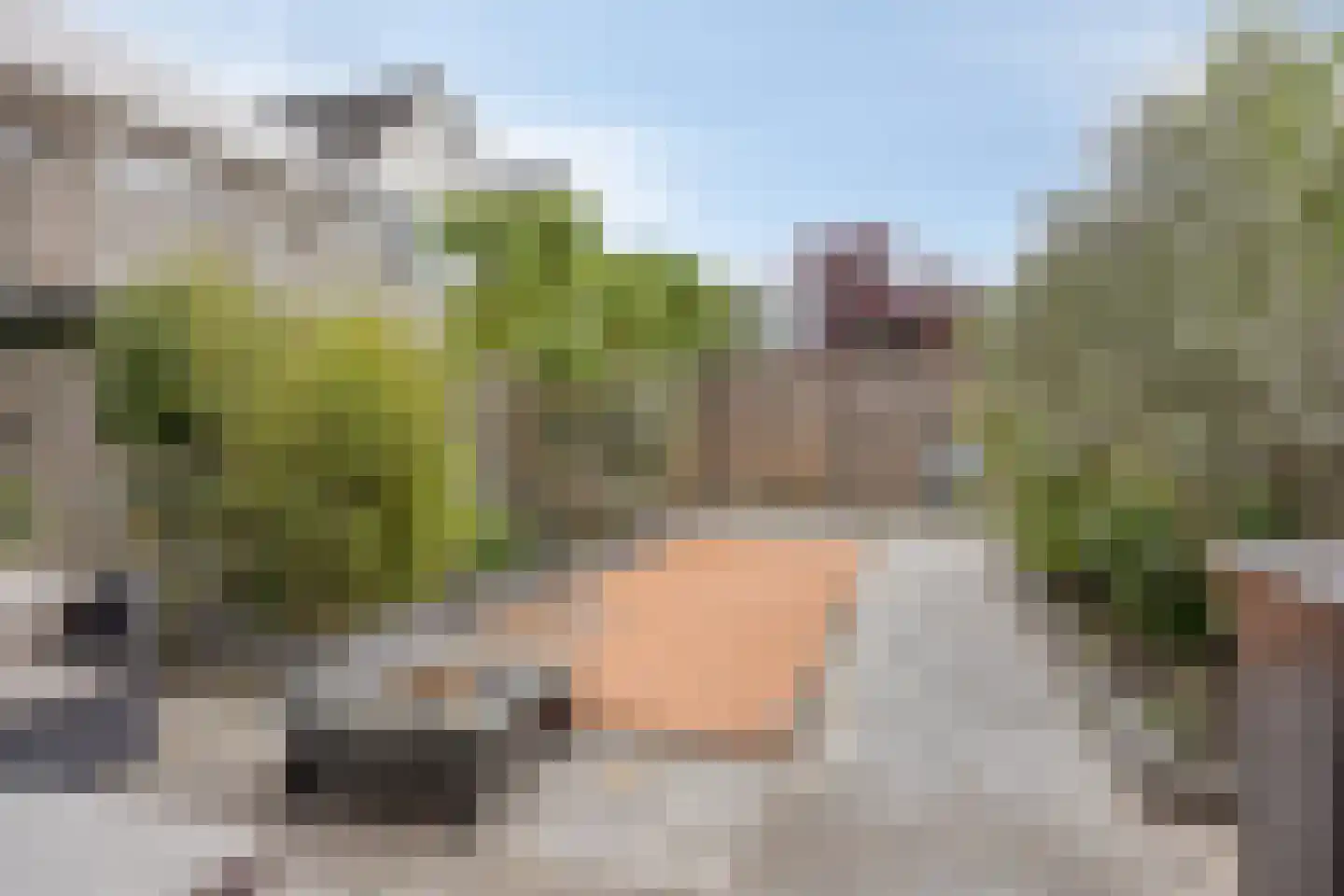 Karperveen 517 Spijkenisse thumbnail 16