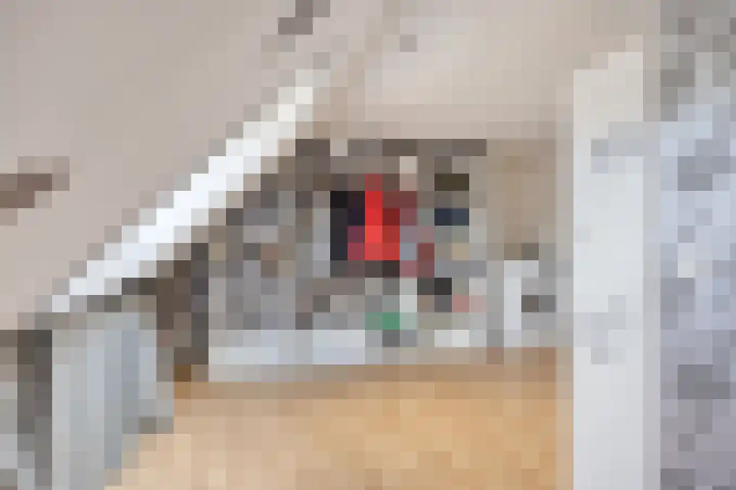 Karperveen 517 Spijkenisse thumbnail 31
