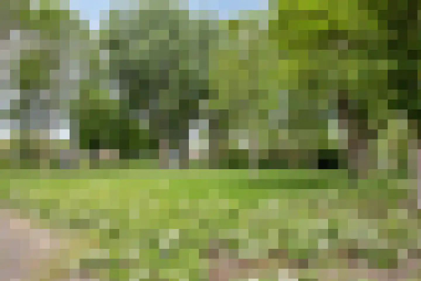 Karperveen 517 Spijkenisse thumbnail 36