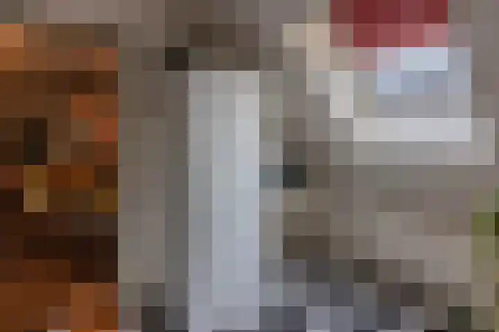 Karperveen 521 Spijkenisse thumbnail 17