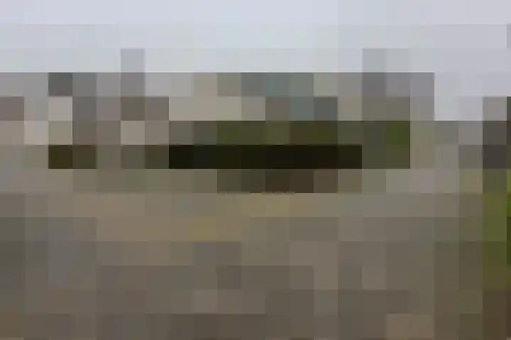 Karperveen 521 Spijkenisse thumbnail 21