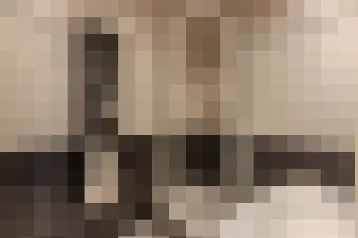 Karperveen 521 Spijkenisse thumbnail 5